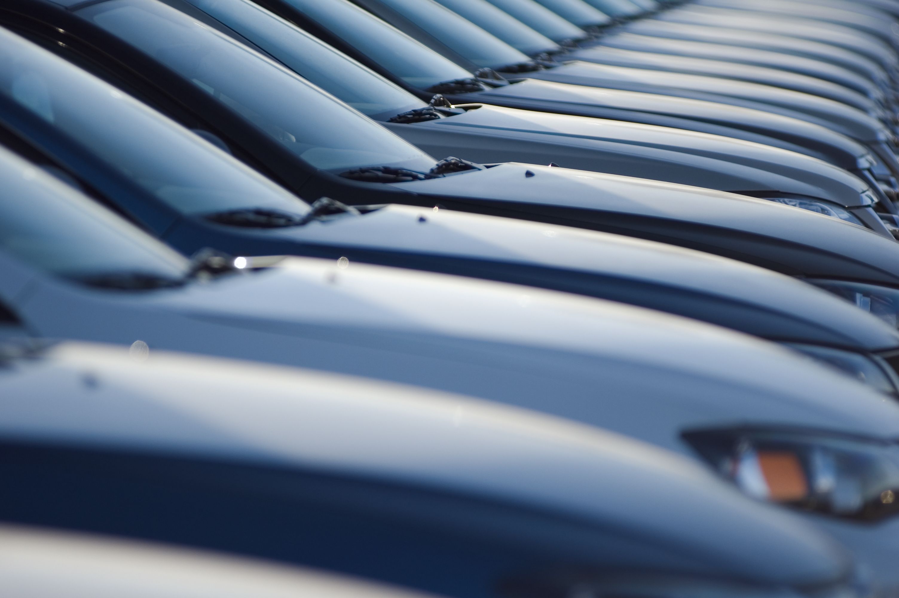 Row of grey and black cars, focused on windshields