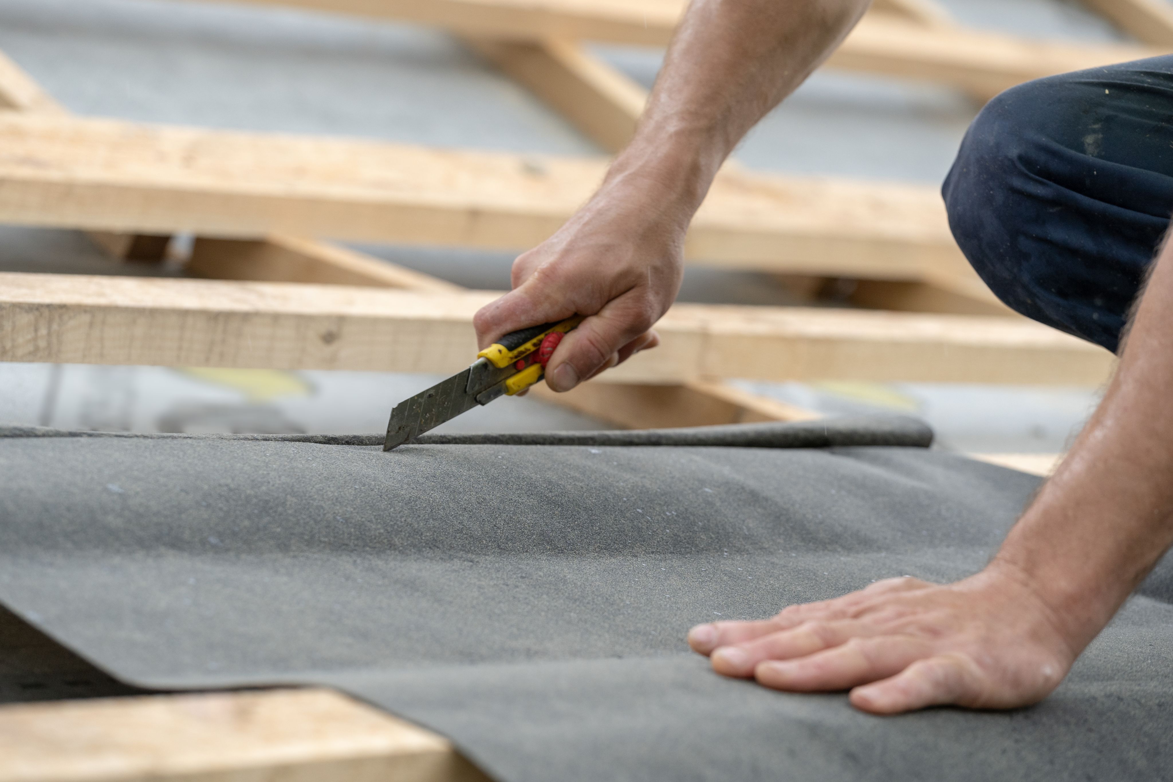 Polymer roofing membrane