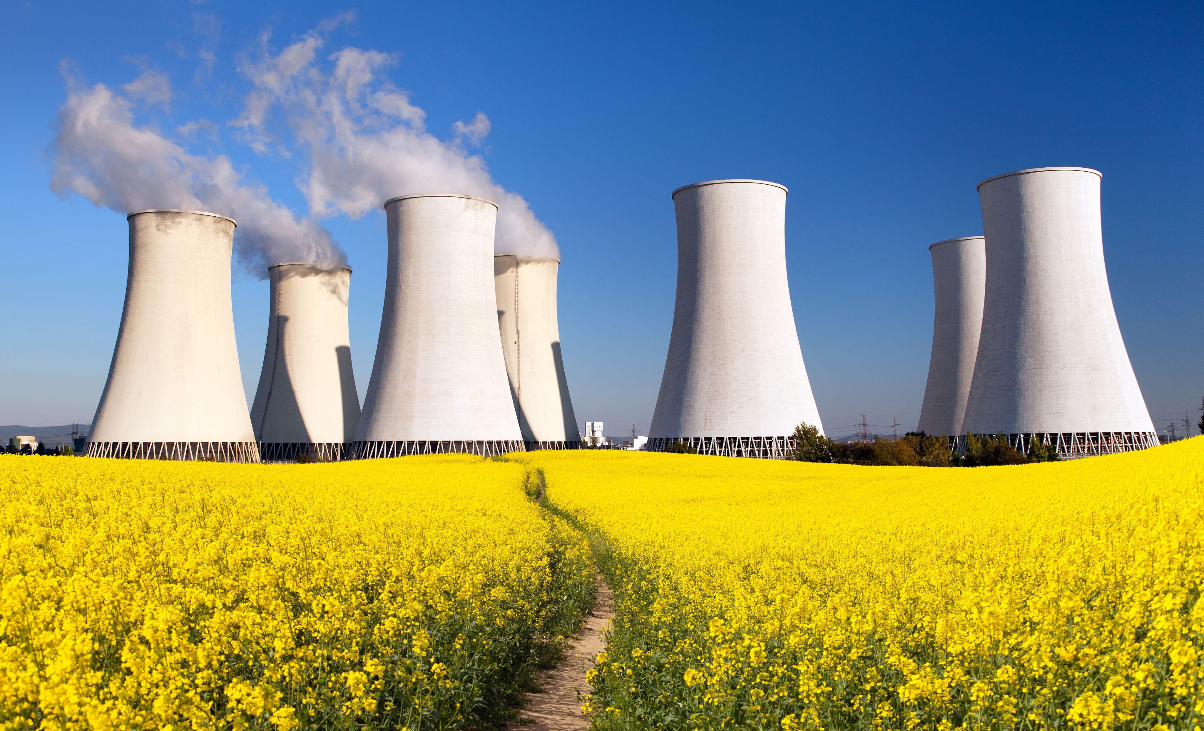Nuclear power plant in a field of yellow flowers